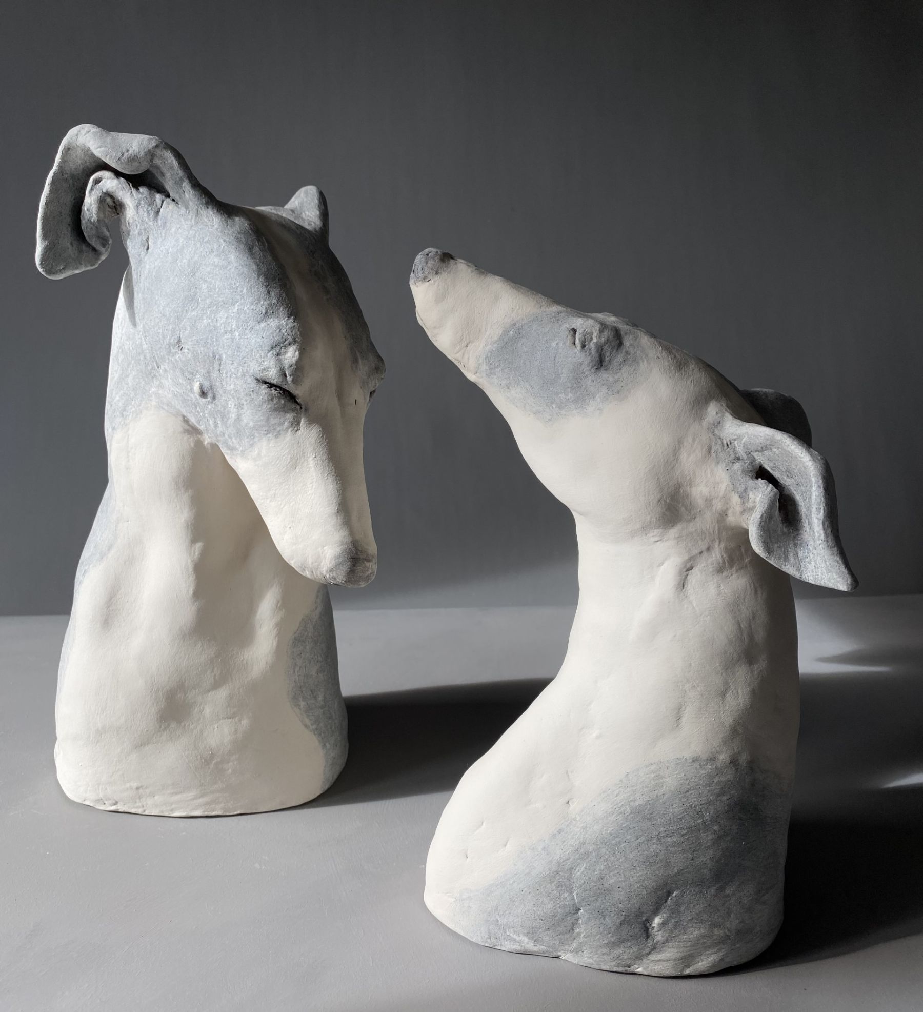 Celebrating the Greyhound